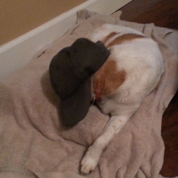 Meet your Posher, Peoples - Picture 4 of 4